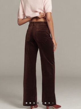 Anthropologie COLETTE Full-Length Wide-Leg Velvet Pants Maeve NEW Size 28 Brown